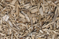 biomass boilers Trevigro
